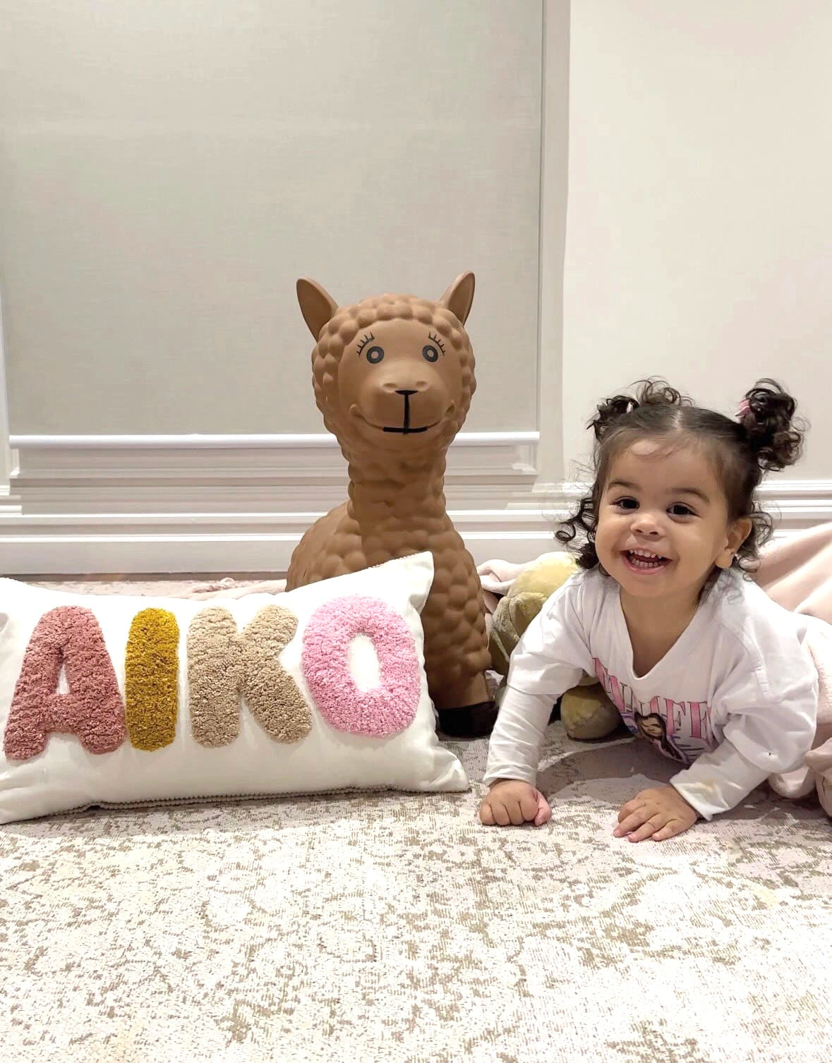 Sibling Set Special - 3 PRINTS & TEXTURED FABRIC cushions